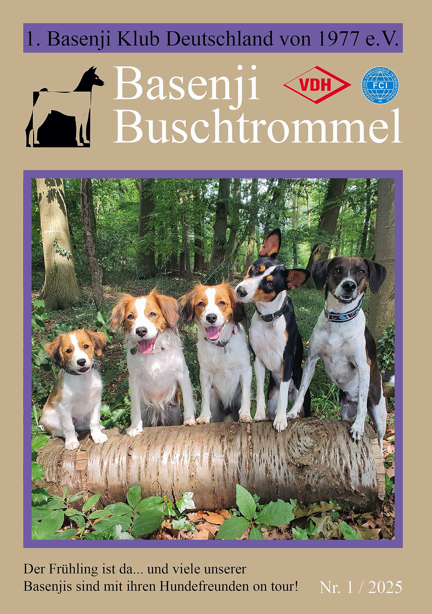 Buschtrommel